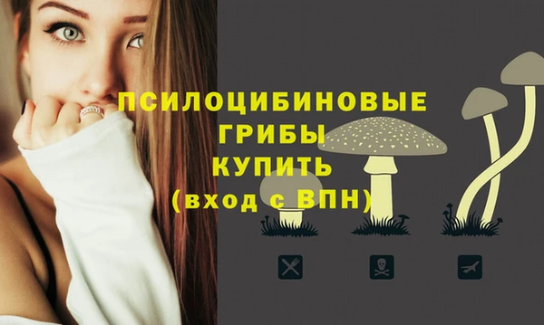 экстази Переславль-Залесский