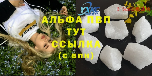 гидра Пестово