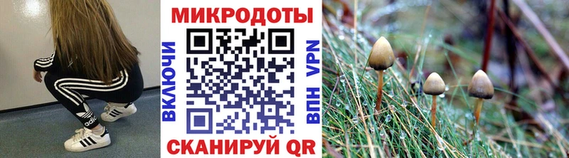 Псилоцибиновые грибы прущие грибы  Нововоронеж 